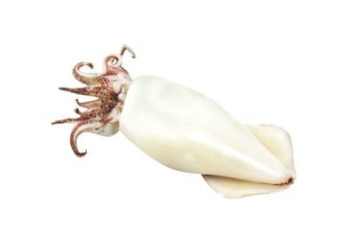 Calamari-interi-puliti-800gr