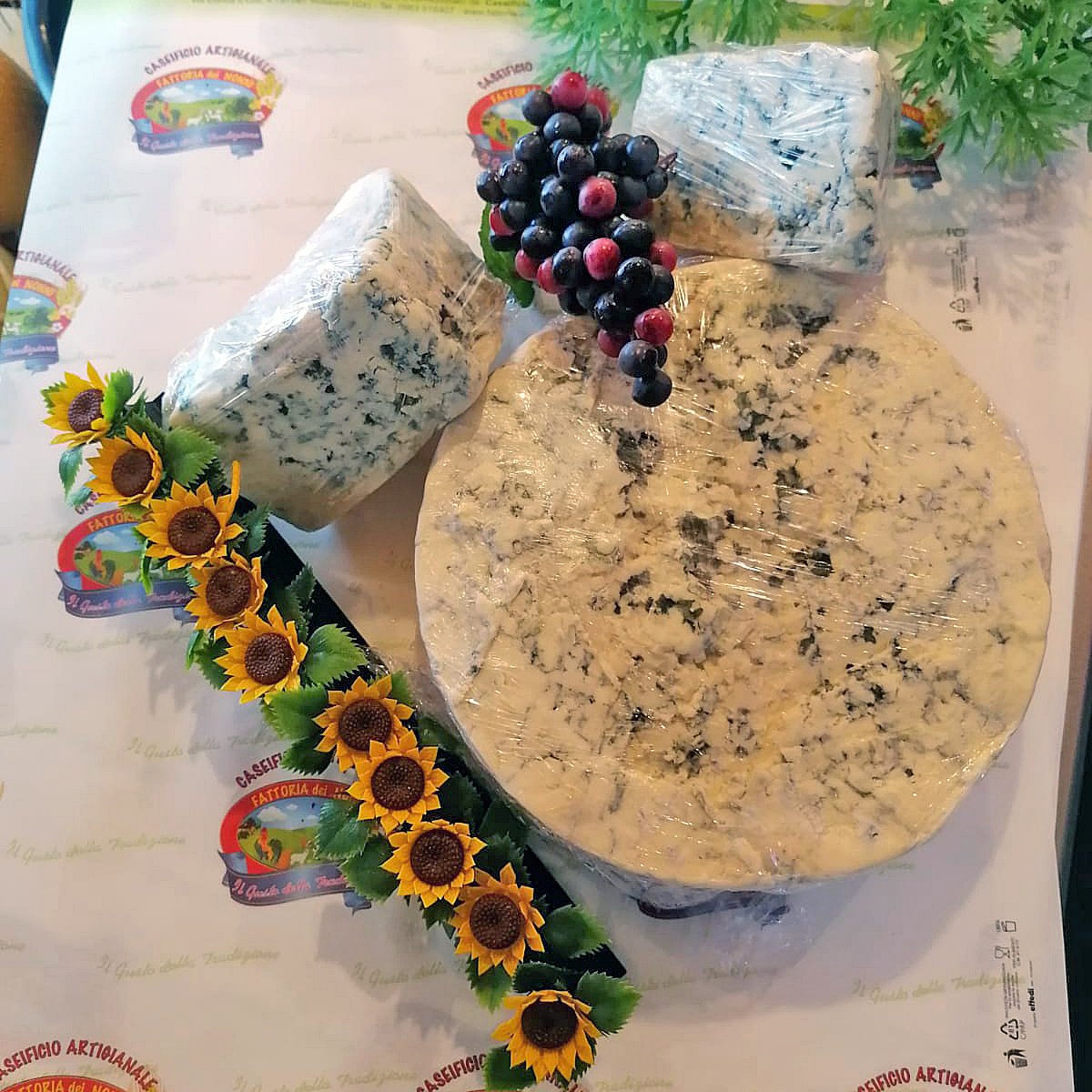 Gorgonzola